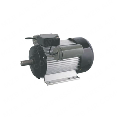 YL Series Single-Phae Duplex Capacitor Induction Motor